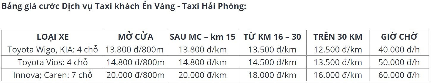 Sau Hà Nội và TP.HCM, người dân Hải Phòng sắp được trải nghiệm taxi điện VinFast nhưng lại từ một hãng taxi truyền thống quen thuộc - Ảnh 3.