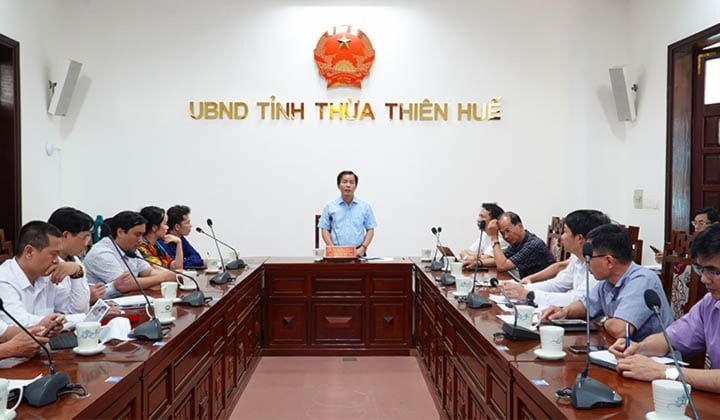 Thừa Thiên - Huế nghiên cứu đưa taxi điện của GSM vào hoạt động - Ảnh 1.
