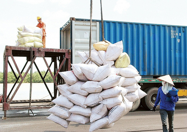 Philippines là khách hàng lớn nhất của gạo Việt - Ảnh 1.