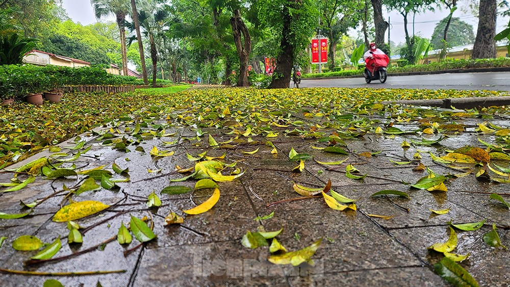 Người dân Thủ đô chật vật đi làm trong mưa rét bất thường - Ảnh 1.