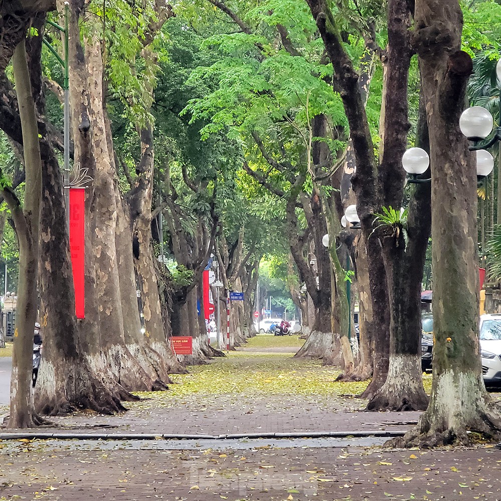 Người dân Thủ đô chật vật đi làm trong mưa rét bất thường - Ảnh 12.