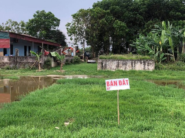 Giá đất làng quê Thanh Hoá, Nghệ An giảm, nhà đầu tư cắt lỗ vẫn khó thoát hàng - Ảnh 1.