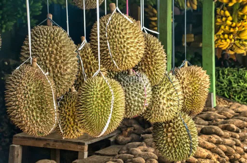 Chuyên trang du lịch nêu 8 loại quả ngon nhất của Việt Nam: Quả được mệnh danh là vua trái cây lại khiến nhiều người e ngại - Ảnh 8.