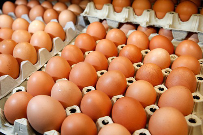 Giá trứng tăng nhanh - giảm nhanh, người chăn nuôi 'làm cũng dở không làm cũng dở' - Ảnh 1.
