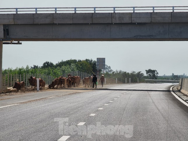 Cao tốc Phan Thiết-Dầu Giây vẫn ngổn ngang trước giờ thông xe ngày mai - Ảnh 36.