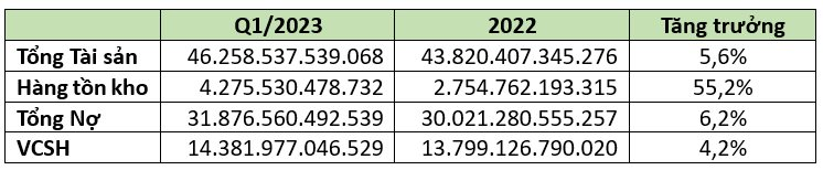 Bamboo Capital: Doanh thu quý 1/2023 đạt hơn 726 tỷ, dòng tiền thuần từ hoạt động kinh doanh cải thiện tích cực - Ảnh 2.