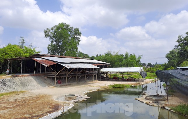 Chủ tịch tỉnh Bình Định ra ‘tối hậu thư’ cho hàng loạt dự án trên địa bàn - Ảnh 1.