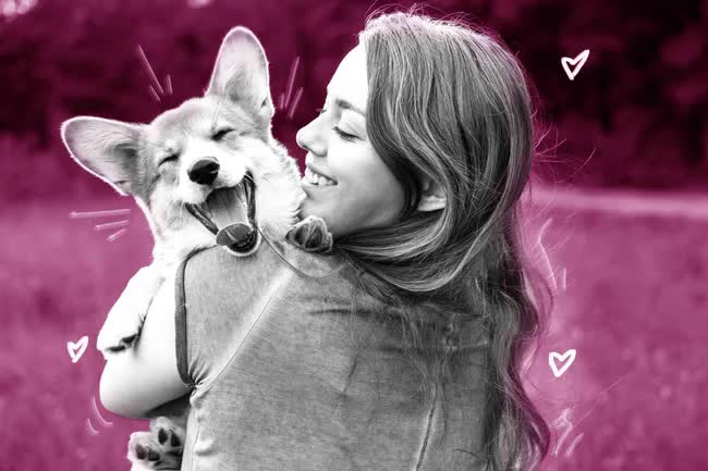 Ăn bữa cơm 40k phải đắn đo nhưng tiêu 70 triệu cho chó mèo là chuyện thường - Ảnh 1.