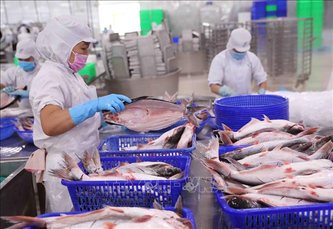 Giải pháp nào để giảm áp lực cho xuất khẩu? - Ảnh 1. Giải pháp nào để giảm áp lực cho xuất khẩu? - Ảnh 1.