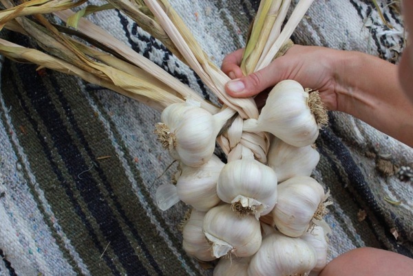 Chuyên gia tiết lộ: 3 thứ đặt đầu giường trước khi ngủ giúp sạch phổi, ngủ ngon - Ảnh 4. Chuyên gia tiết lộ: 3 thứ đặt đầu giường trước khi ngủ giúp sạch phổi, ngủ ngon - Ảnh 4.