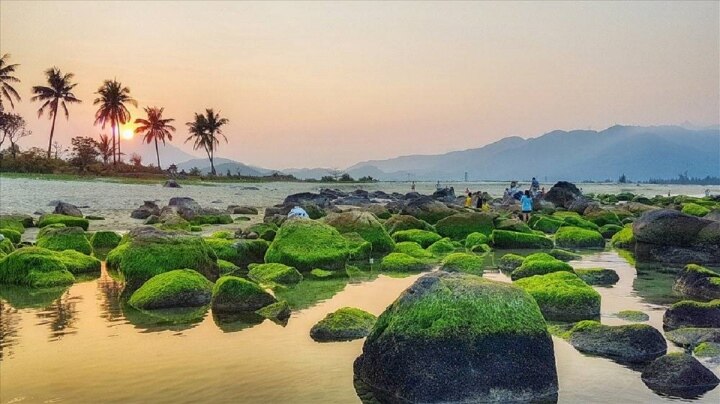 See 6 wild beautiful check-in places in Da Nang - Photo 3.
