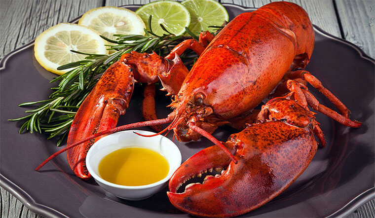 Đặc sản "30 triệu con mới có một" từng xuất hiện tại Việt Nam: Thịt vừa ngon, vừa bổ dưỡng, khách trả 150 triệu không bán - Ảnh 3.
