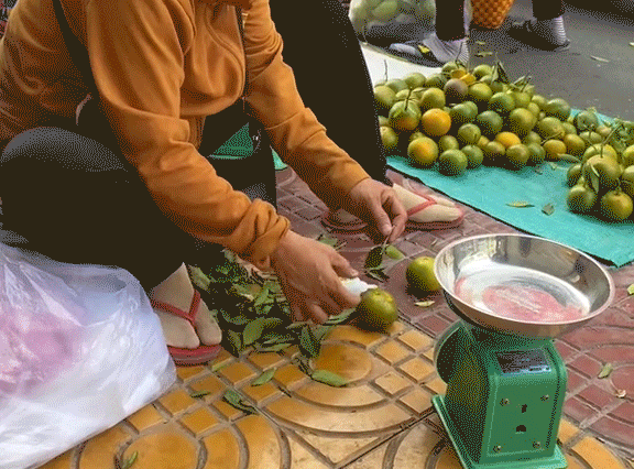 Cảnh tượng dùng keo dán cuống hoa quả ở chợ gây tranh cãi: Dán cho đẹp hay đang lừa dối khách hàng? - Ảnh 2. Cảnh tượng dùng keo dán cuống hoa quả ở chợ gây tranh cãi: Dán cho đẹp hay đang lừa dối khách hàng? - Ảnh 2.