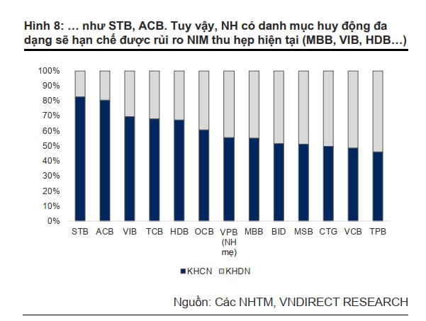 Ngân hàng nào có lợi thế trong môi trường lãi suất cao và nợ xấu gia tăng? - Ảnh 4.