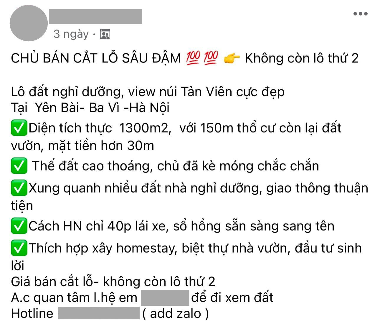 Sau 2 năm làn sóng bỏ phố “về quê nuôi cá và trồng thêm rau” bùng nổ: “Bán tháo” tràn lan, giá giảm sâu - Ảnh 1.