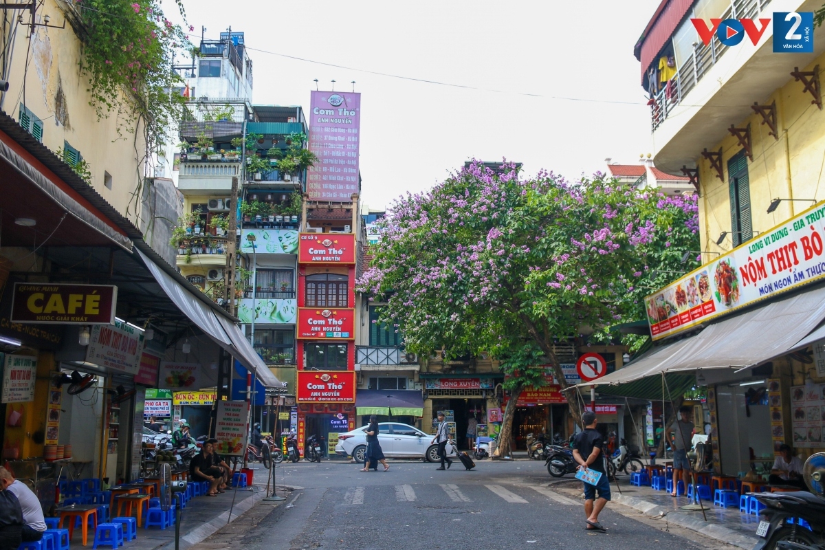 Lãng mạn sắc tím bằng lăng trên phố phường Hà Nội - Ảnh 10.
