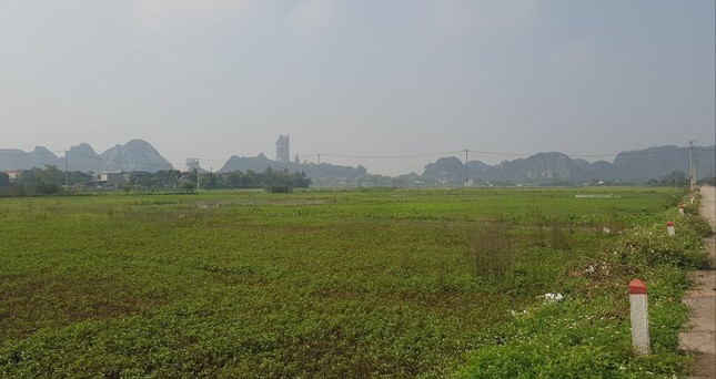 Ninh Bình vẫn giao 7,5ha đất khi chưa xác định giá, không qua đấu giá cho Tập đoàn Thành Thắng - Ảnh 1.