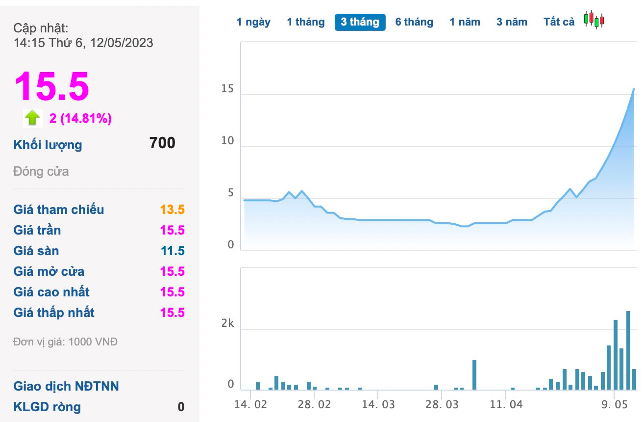 Một cổ phiếu tăng 434% sau một tháng - Ảnh 1.