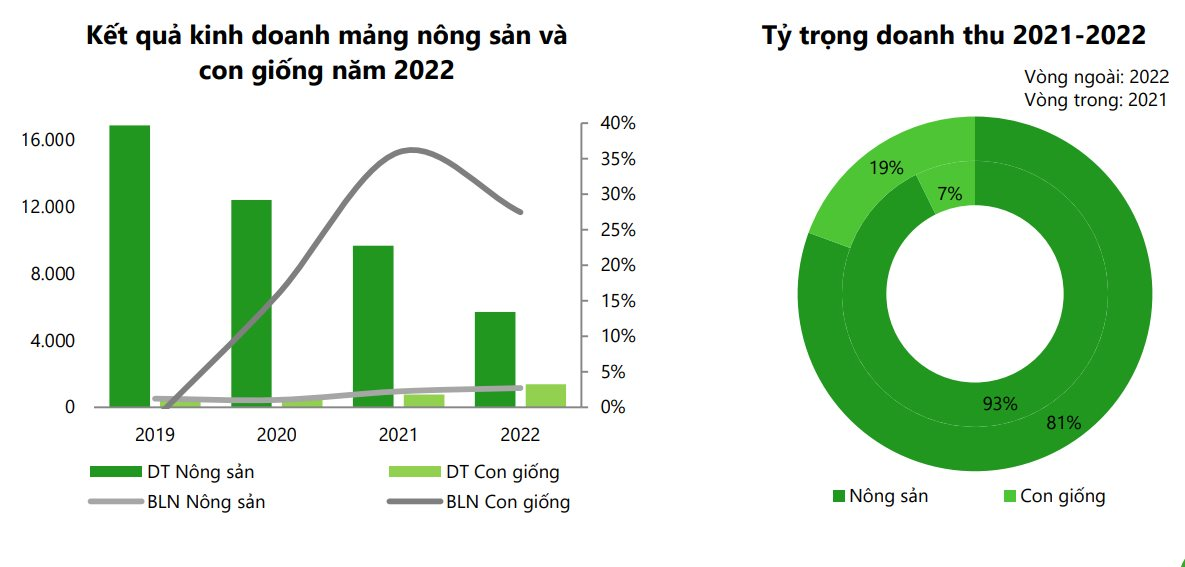 Đàn heo ăn chay và nỗ lực &quot;rũ bùn đứng dậy&quot; của đại gia Trương Sỹ Bá - Ảnh 2.