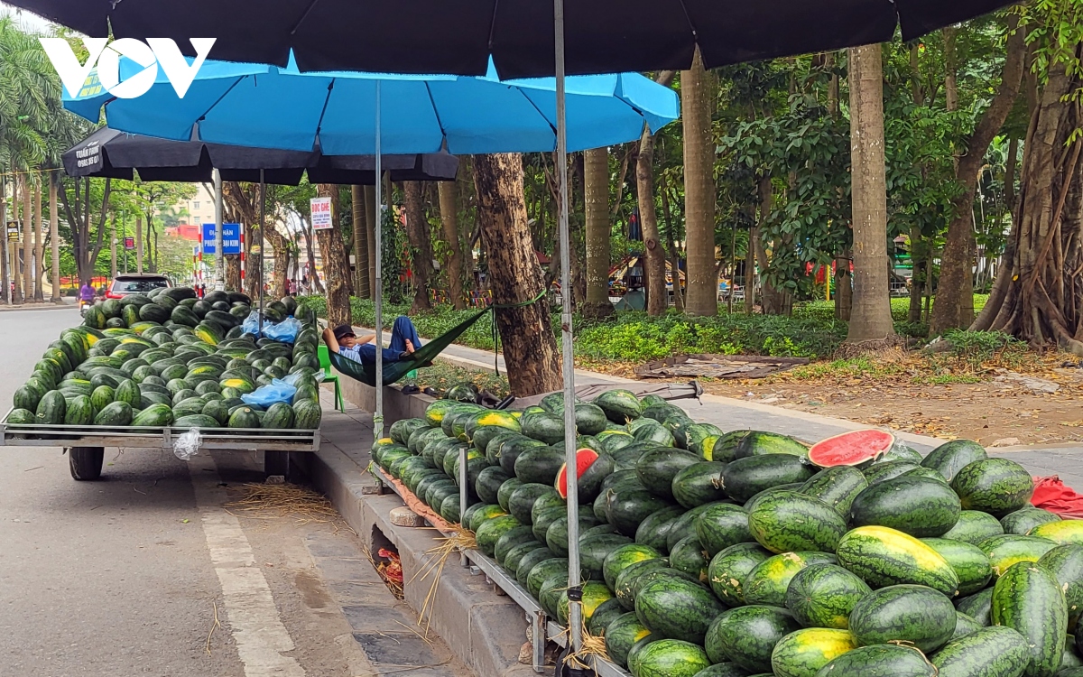 Xe hàng hoa quả kềnh càng, lấn chiếm đường phố Hà Nội để kinh doanh - Ảnh 6.