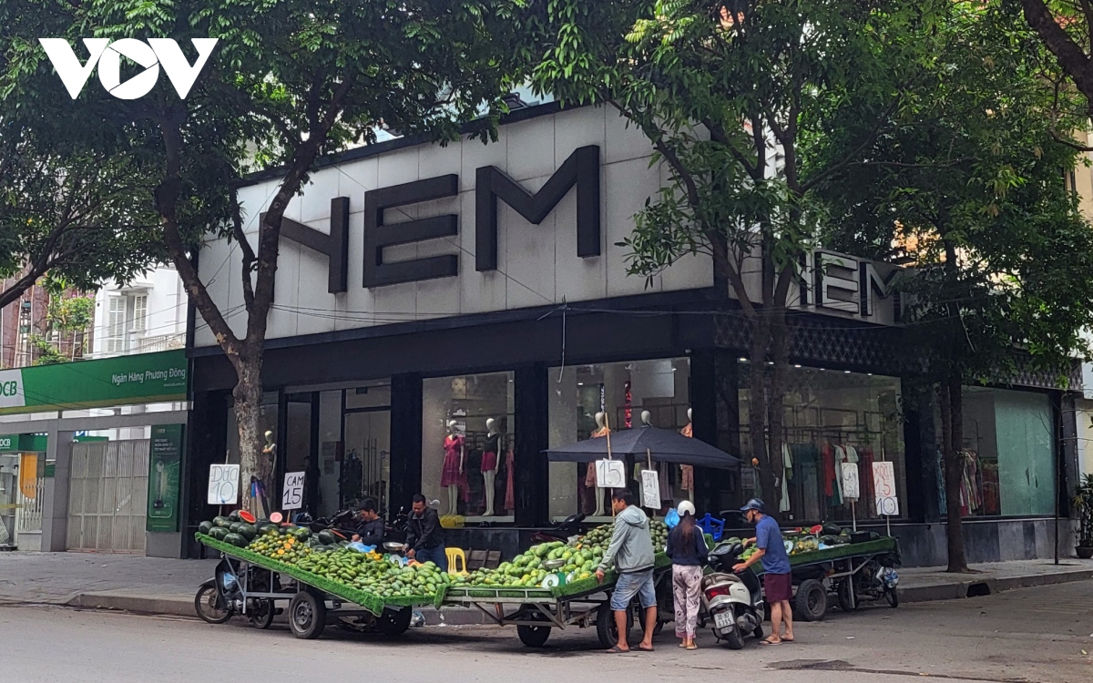 Xe hàng hoa quả kềnh càng, lấn chiếm đường phố Hà Nội để kinh doanh - Ảnh 1.