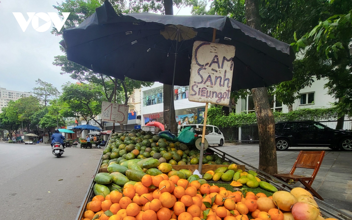 Xe hàng hoa quả kềnh càng, lấn chiếm đường phố Hà Nội để kinh doanh - Ảnh 2.