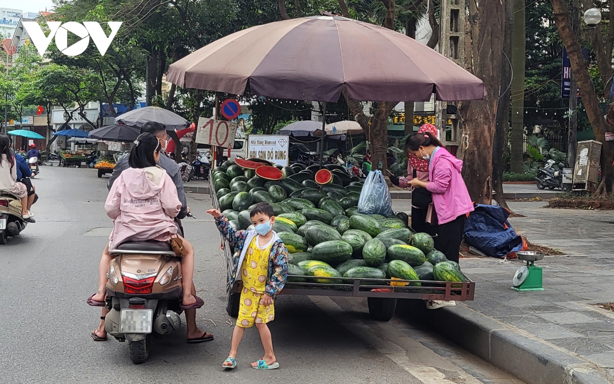 Xe hàng hoa quả kềnh càng, lấn chiếm đường phố Hà Nội để kinh doanh - Ảnh 7.