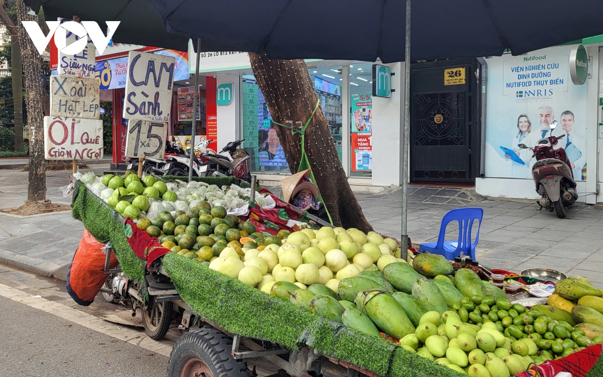 Xe hàng hoa quả kềnh càng, lấn chiếm đường phố Hà Nội để kinh doanh - Ảnh 5.