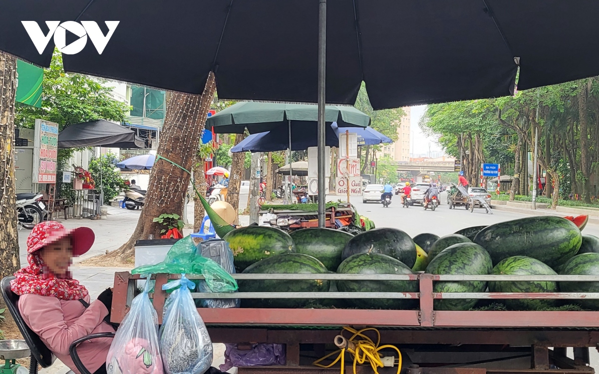 Xe hàng hoa quả kềnh càng, lấn chiếm đường phố Hà Nội để kinh doanh - Ảnh 3.