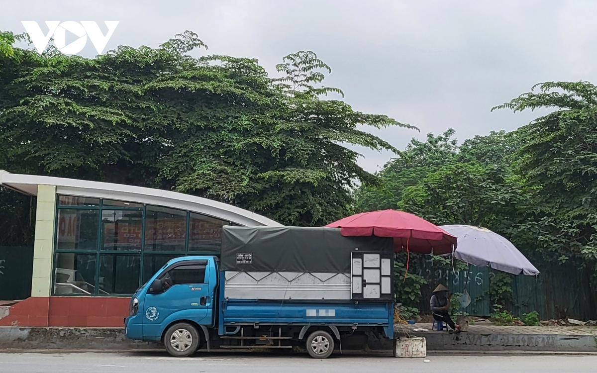 Xe hàng hoa quả kềnh càng, lấn chiếm đường phố Hà Nội để kinh doanh - Ảnh 11.
