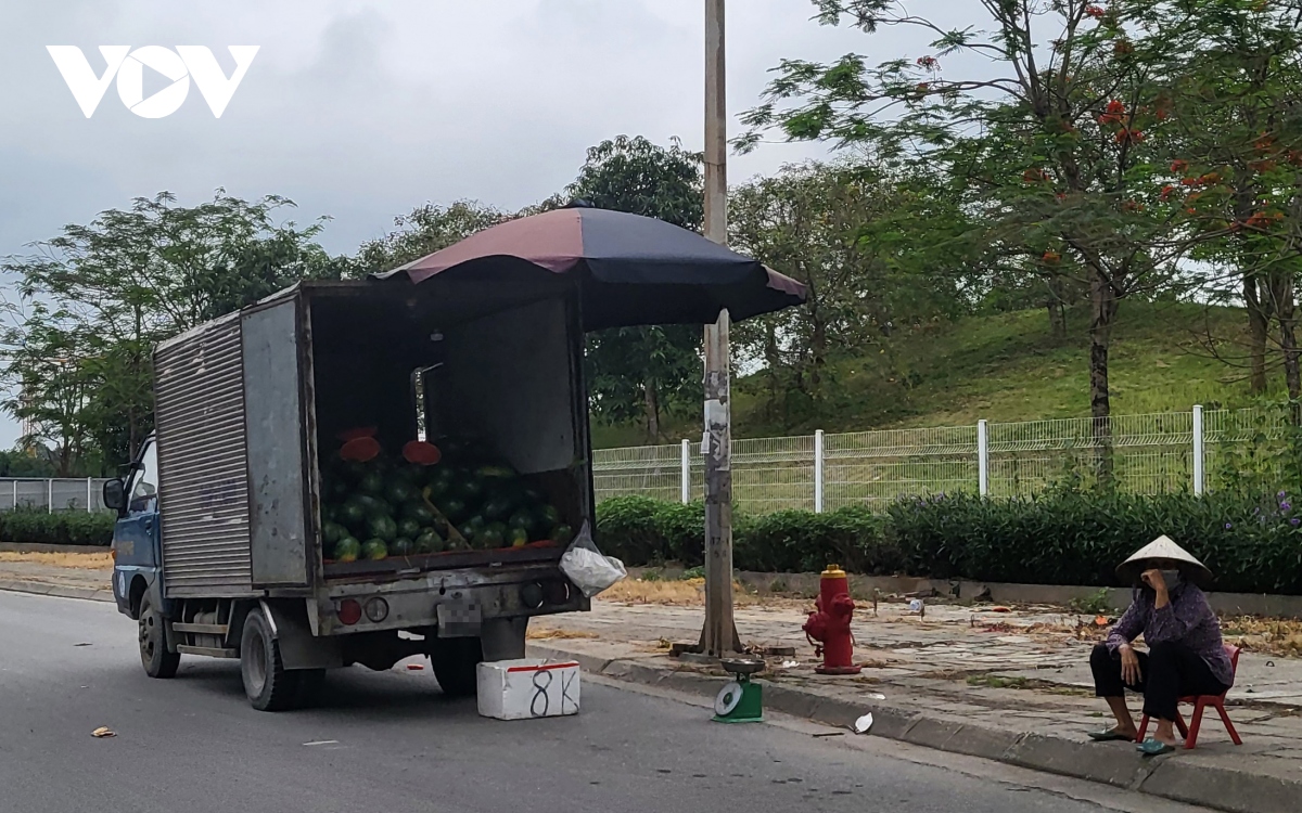 Xe hàng hoa quả kềnh càng, lấn chiếm đường phố Hà Nội để kinh doanh - Ảnh 12.
