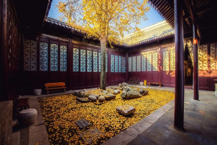 Khu vườn cổ 600 năm trường tồn cùng tuế nguyệt, cảnh sắc 4 mùa đẹp vĩnh cửu giữa cố đô Nam Kinh - Ảnh 8.