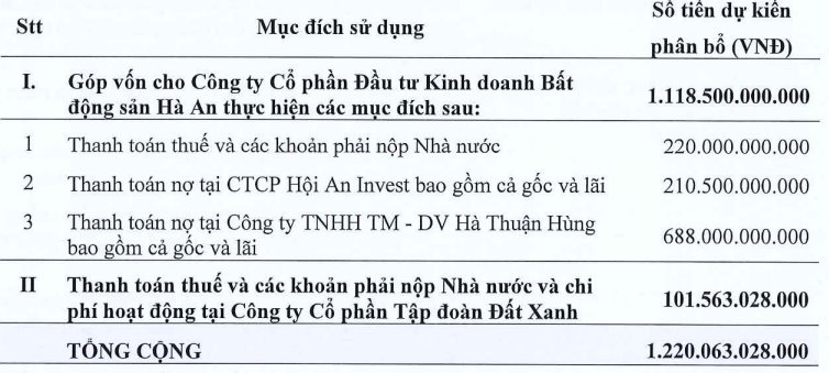 Đất Xanh (DXG) muốn chào bán thêm 168 triệu cổ phiếu, "dành" hơn 1.100 tỷ để trả nợ cho công ty con - Ảnh 1.