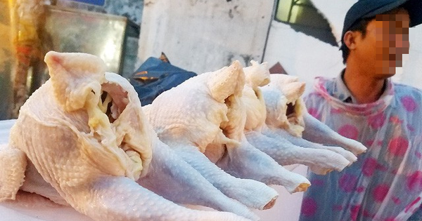 Hàng chục nghìn tấn gà thải 'tuồn' vào Việt Nam mỗi tháng - Ảnh 1.