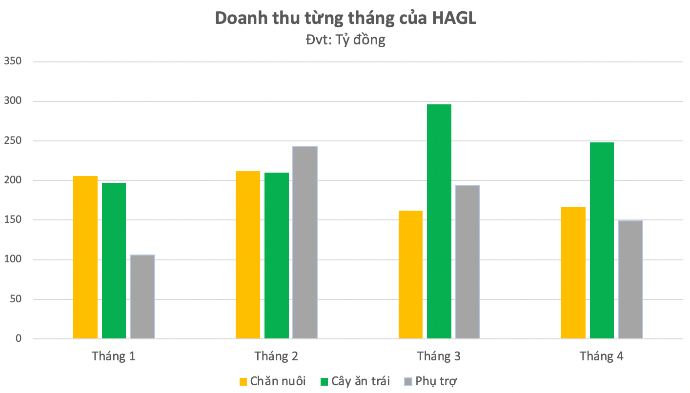 Nuôi heo gặp khó, từ hơn trăm tỷ lãi đều đăn hàng tháng, Hoàng Anh Gia Lai (HAGL) chỉ còn lãi 32 tỷ trong tháng 4 nhờ chuối - Ảnh 1.