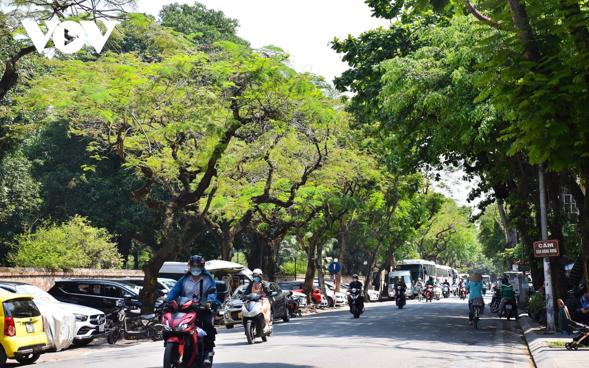 Người dân mong gì ở 3 tuyến phố dự kiến trở thành phố đi bộ mới tại Hà Nội? - Ảnh 3.
