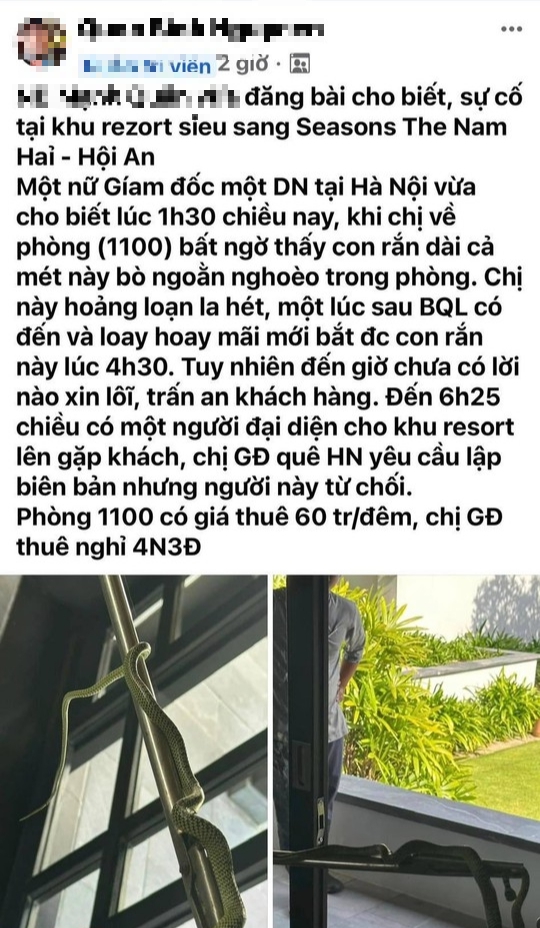 Resort ở Quảng Nam nói gì về vụ rắn bò trong phòng thuê 60 triệu đồng/đêm? - Ảnh 1.