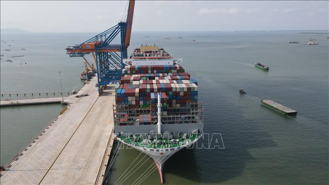 Nêu giải pháp tăng lượng hàng hóa qua cảng Cái Mép – Thị Vải - Ảnh 2.