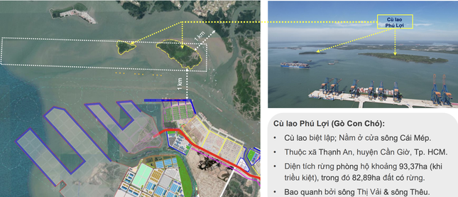TPHCM bắt đầu triển khai 'siêu cảng' trung chuyển quốc tế hơn 5 tỷ USD - Ảnh 1.