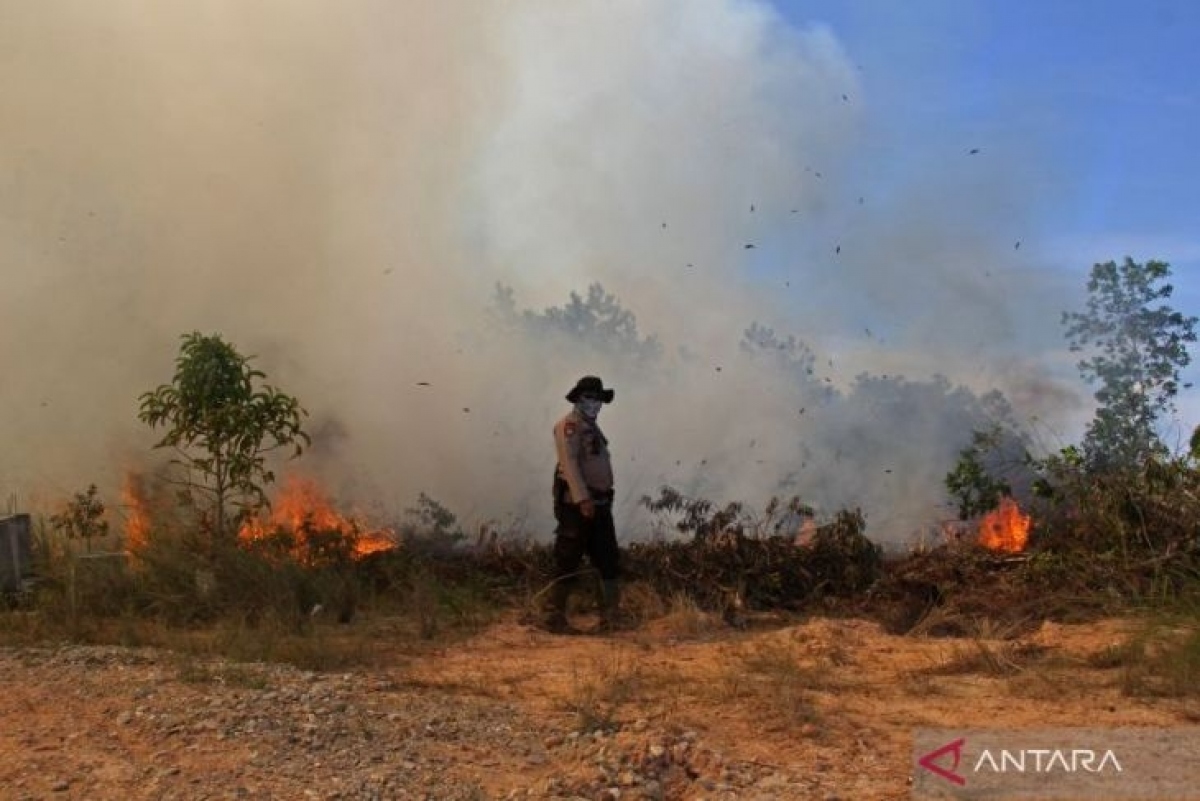 Indonesia làm mưa nhân tạo chống cháy rừng - Ảnh 1.