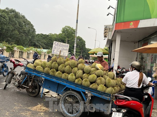 Sầu riêng 'hàng dạt' giá rẻ đổ bộ vỉa hè TPHCM - Ảnh 4.