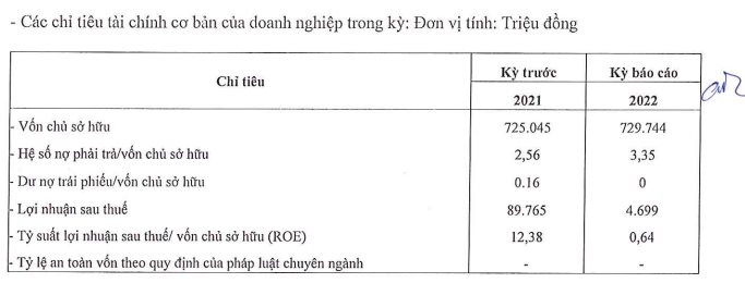 Sau khi nhận khoản đầu tư 90 triệu USD, chuỗi bán lẻ mẹ và bé Con Cưng báo lợi nhuận năm 2022 giảm tới 95% chỉ gần 5 tỷ đồng - Ảnh 1.