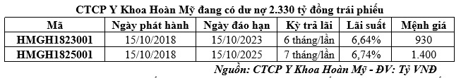 Chủ sở hữu bệnh viện Hoàn Mỹ đang làm ăn ra sao? - Ảnh 2.