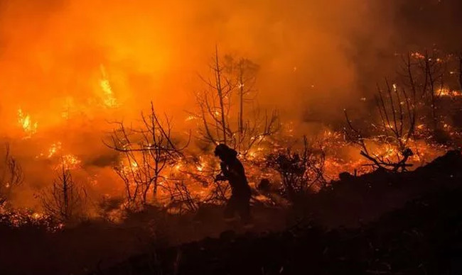 El Nino có thể kéo dài tới 2024, thời tiết Việt Nam sẽ bị chi phối thế nào? - Ảnh 4.