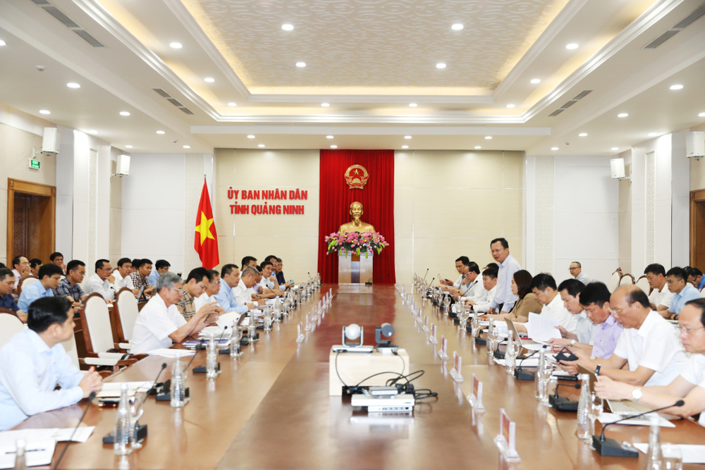 Quảng Ninh sẽ thành lập tổ công tác đặc biệt để đảm bảo đủ điện cho các khu công nghiệp - Ảnh 2.