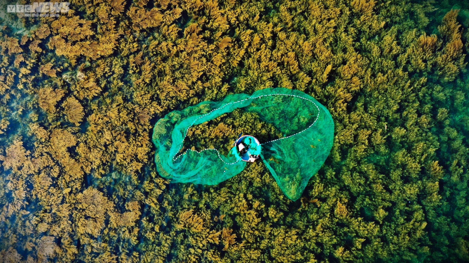 Ngất ngây 'cánh đồng vàng' dưới biển xanh trong ở đảo Hòn Khô, Bình Định - Ảnh 10.