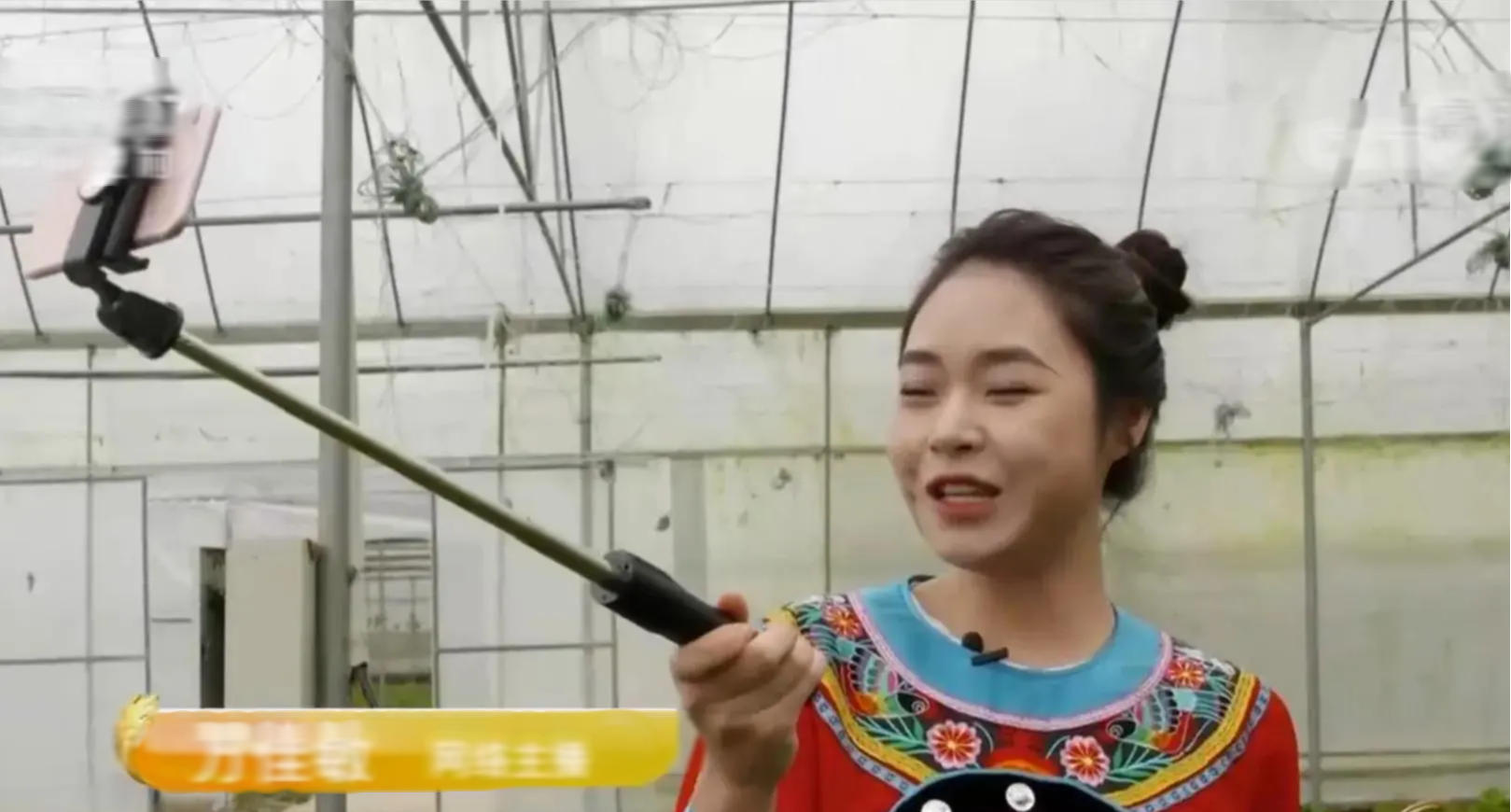 Bỏ phố về quê thời 4.0: Cặp vợ chồng thuê đất trồng rau trong nhà kính, thuê KOLs nổi tiếng livestream bán nông sản đạt doanh số khủng, thu khoảng 56 tỷ đồng mỗi năm - Ảnh 4.