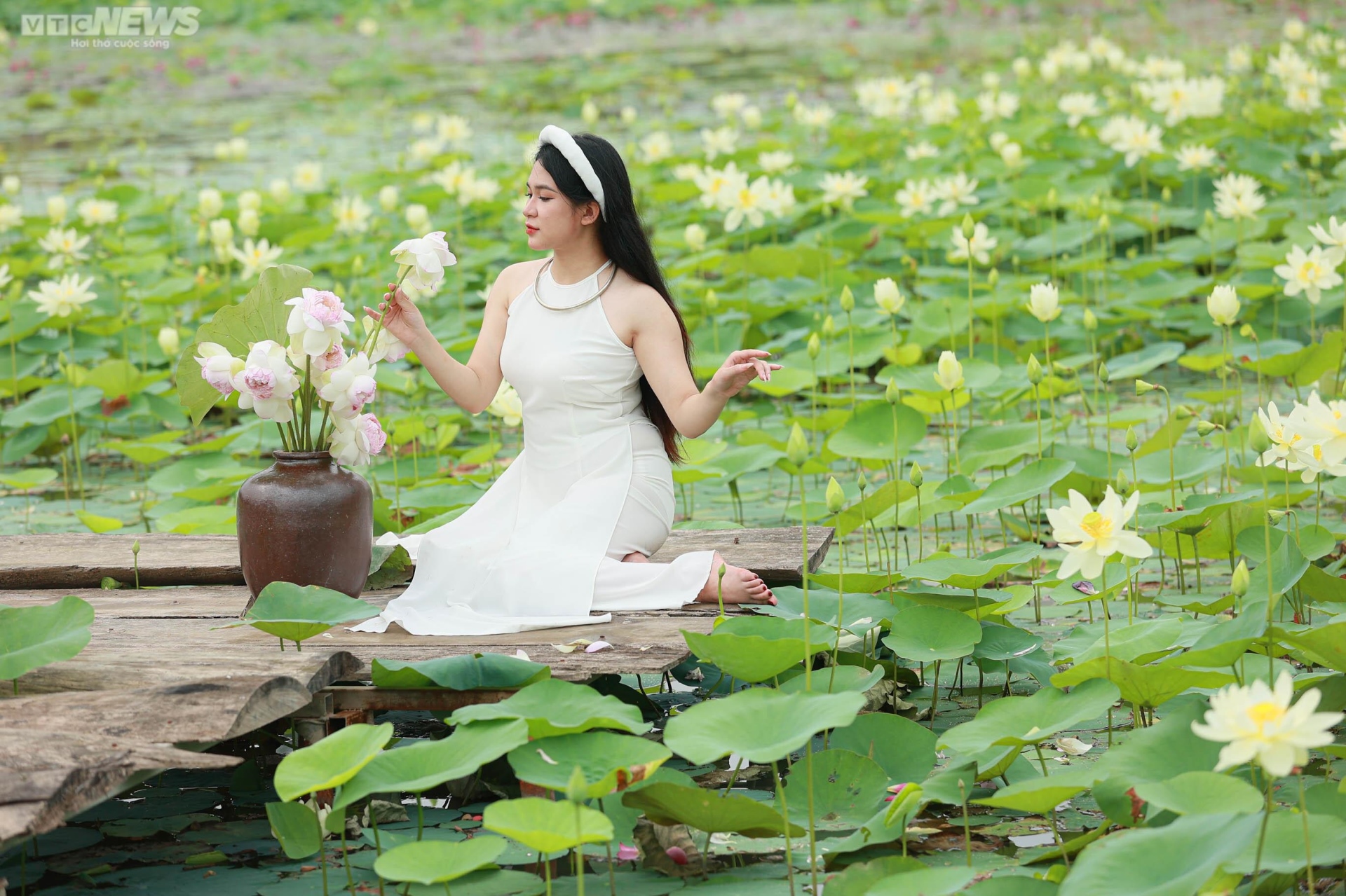 Ngắm cánh đồng sen đẹp hút hồn tại khuôn viên Học viện Nông nghiệp Việt Nam - Ảnh 9.