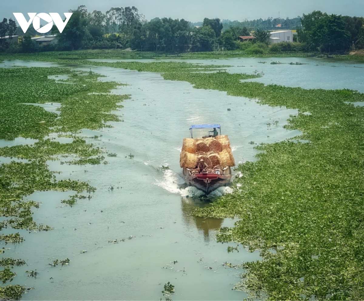 Hạ tầng yếu và thiếu khiến ngành logistics Đông Nam bộ ì ạch - Ảnh 2. Hạ tầng yếu và thiếu khiến ngành logistics Đông Nam bộ ì ạch - Ảnh 2.