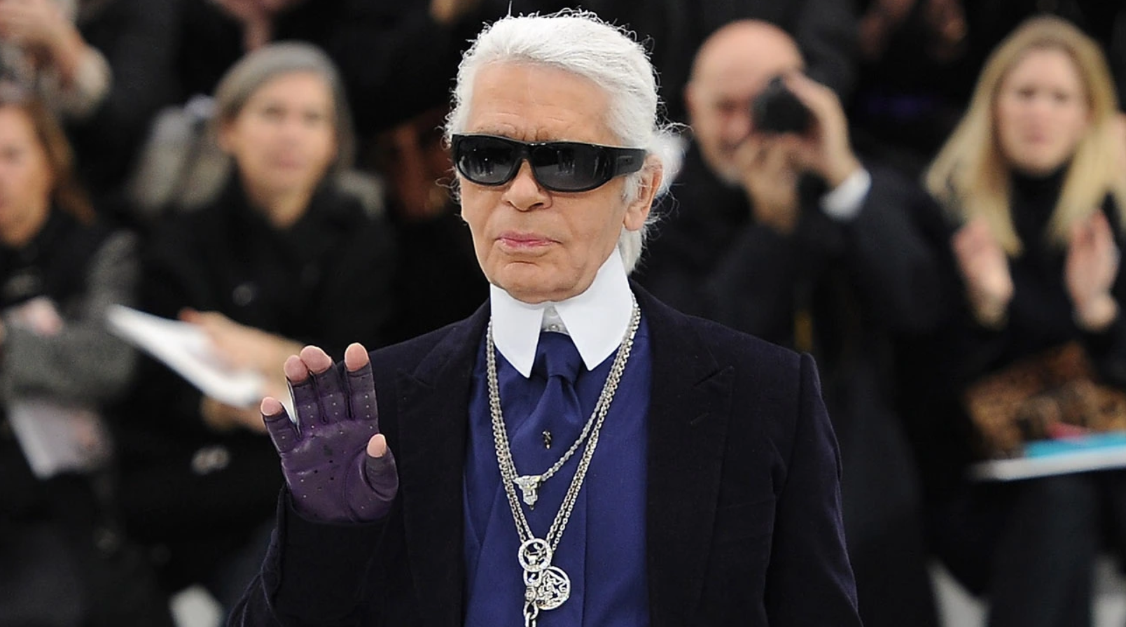 Cô mèo truyền cảm hứng cho phong cách thời trang của nhiều sao tại Met Gala đẹp thế nào mà Karl Lagerfeld say đắm đến mức &quot;muốn cưới&quot;? - Ảnh 1.